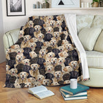 Labrador - Blanket - 1396