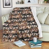 Finnish Lapphund Full Face Blanket