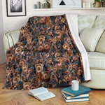 Doberman Pinscher Full Face Blanket