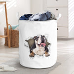 English Bulldog1 - Tornpaper - LB