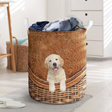 Labrador - Rattan - LB