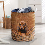 Dachshund - Rattan - LB