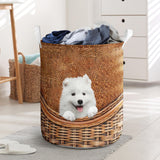 Samoyed - Rattan - LB