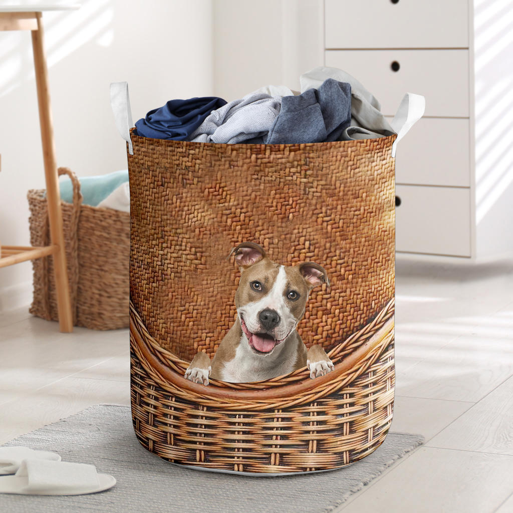 American Staffordshire Terrier - Rattan - LB