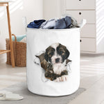 Tibetan Terrier - Tornpaper - LB