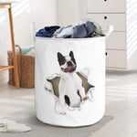 Boston Terrier - Tornpaper - LB