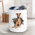 Italian Greyhound - Tornpaper - LB