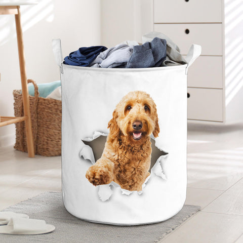 Goldendoodle - Tornpaper - LB