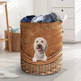 Goldendoodle2 - Rattan - LB