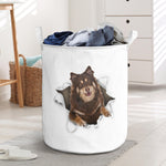 Finnish Lapphund - Tornpaper - LB