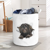 Pyrenean Shepherd - Tornpaper - LB