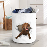 Chesapeake Bay Retriever - Tornpaper - LB