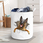 Belgian Shepherd - Tornpaper - LB