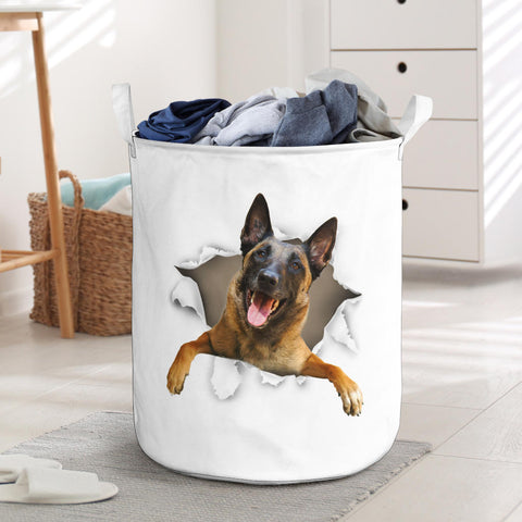 Belgian Shepherd - Tornpaper - LB