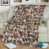 Australian Shepherd Full Face Blanket