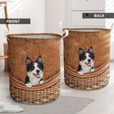 Tricolor Collie - Rattan - LB