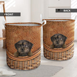 Yorkiepoo - Rattan - LB