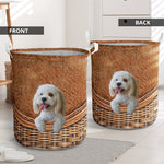 Cockapoo - Rattan - LB