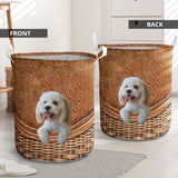 Cockapoo - Rattan - LB