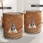 Afghan Hound2 - Rattan - LB