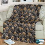 Cairn Terrier Full Face Blanket