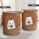 Samoyed - Rattan - LB