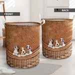 Beagle - Rattan - LB