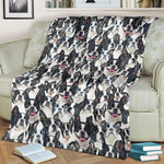 Boston Terrier - Blanket - 1320