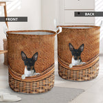 Rat Terrier - Rattan - LB