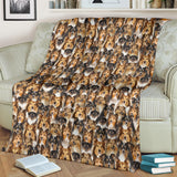 Shetland Sheepdog Full Face Blanket