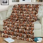 Bracco Italiano Full Face Blanket