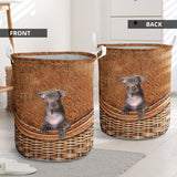 Thai Ridgeback - Rattan - LB