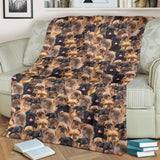 Brussels Griffon Full Face Blanket