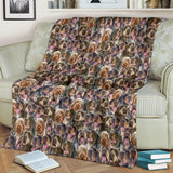 Wirehaired Pointing Griffon Full Face Blanket