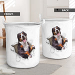 Greater Swiss Mountain dog - Tornpaper - LB