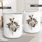 Parson Russell Terrier - Tornpaper - LB