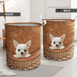 White Chihuahua - Rattan - LB