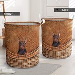 Doberman - Rattan - LB