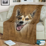 Norwegian Lundehund Face Hair Blanket