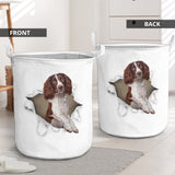 English Springer Spaniel - Tornpaper - LB