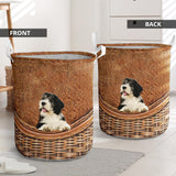 Polish Lowland Sheepdog - Rattan - LB