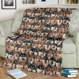 Finnish Lapphund Full Face Blanket