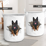 Belgian Tervuren - Tornpaper - LB