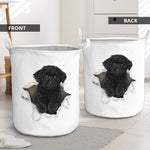 Black Toy Poodle - Tornpaper - LB