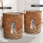 Laekenois dog - Rattan - LB