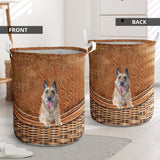 Laekenois dog - Rattan - LB