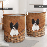 Papillon2 - Rattan - LB