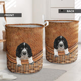 Springer Spaniel - Rattan - LB