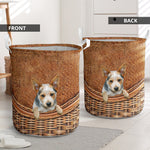 Blue Heeler - Rattan - LB