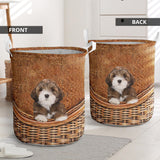 Lhasa Apso - Rattan - LB